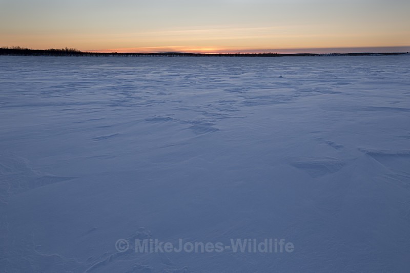 Sunset across one of the frozen lakes in Northern Lapland, Finland - FINLAND & SWEDEN LANDSCAPES