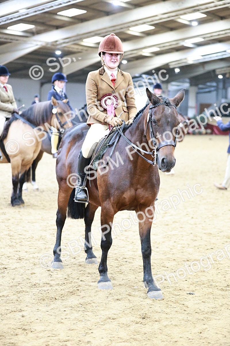 SBM_08346 - Class 11R - Regional Ridden Veteran