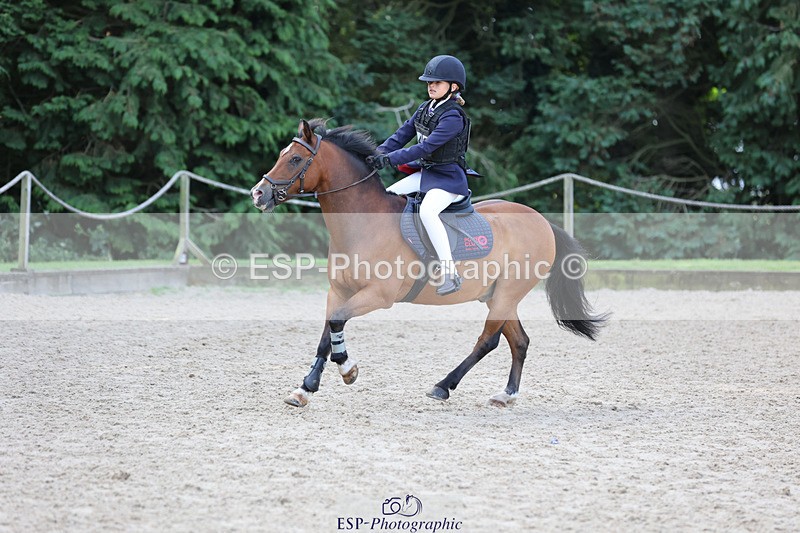 240823X-092006-14497 - 60cm R1 8.30 to 10.00