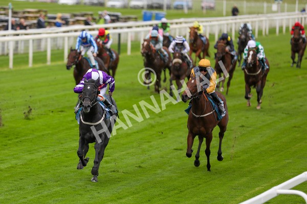 131023-Race 1-Pilgrim-9713 - Race 1 2.05pm William Hill EBF Novice Stakes