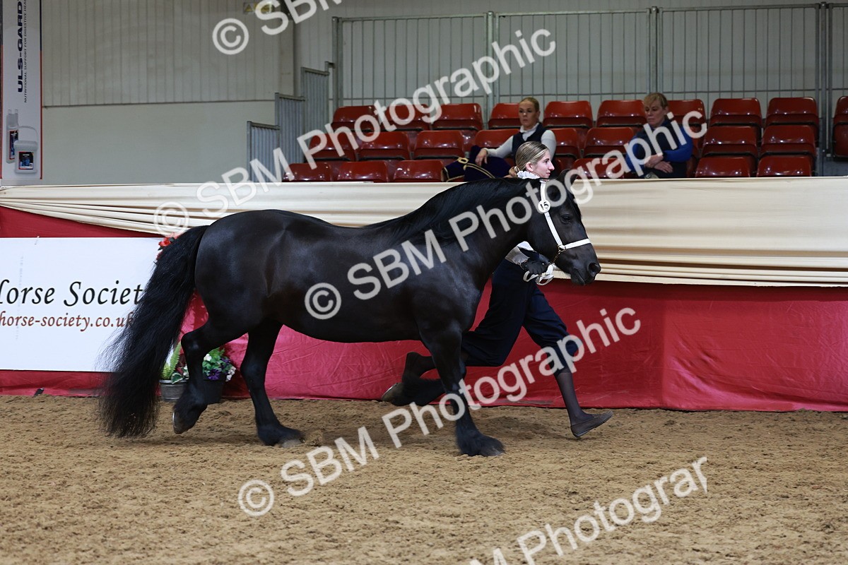 SBM_17396 - Class 951 - M&M IH Supreme Final