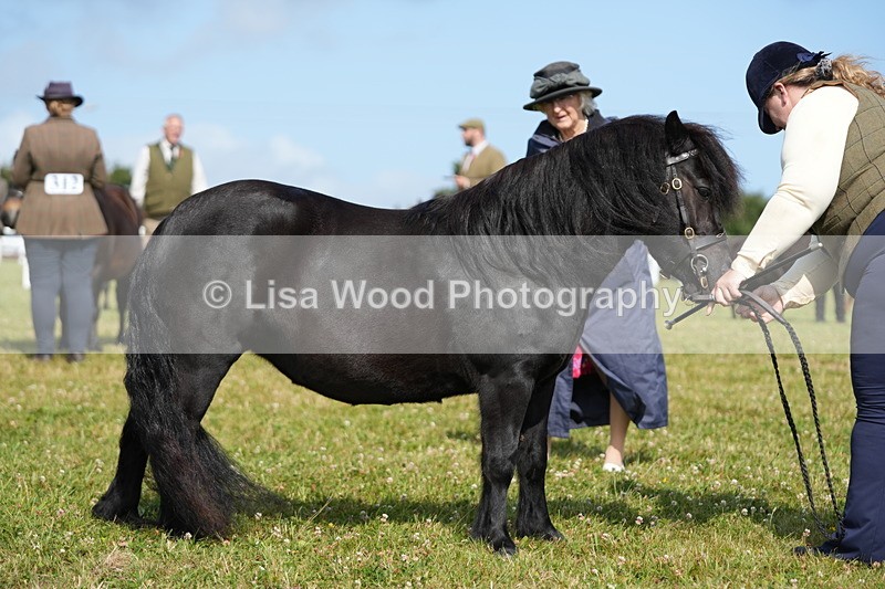 DSC05327 - Class 49: NPS Shetland 4 years and over