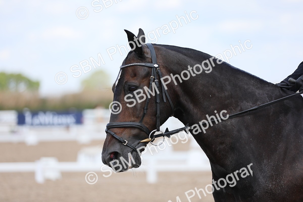 SBM_04064 - Class 31 Prelim 1