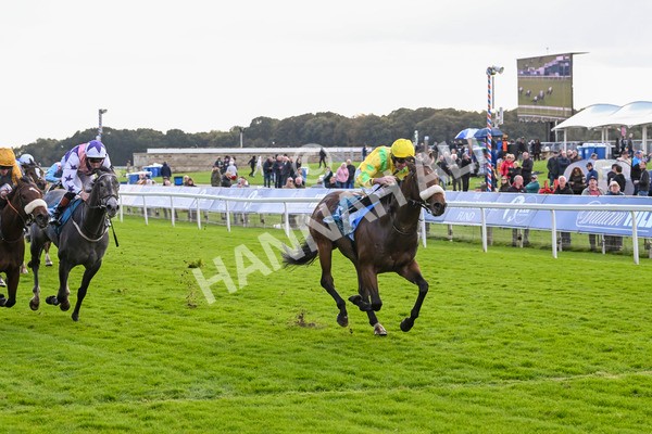 111024-Race 4-End Of Story-1821 - Race 4 3.10pm Parsonage Hotel And Cloisters Spa Nursery Handicap