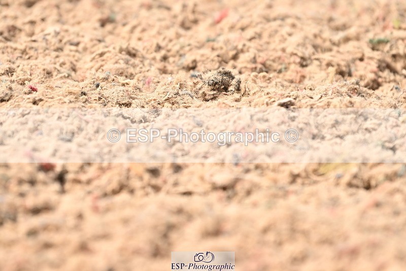 240621A-155606-04845 - Cls 13 BD Adv Medium 91