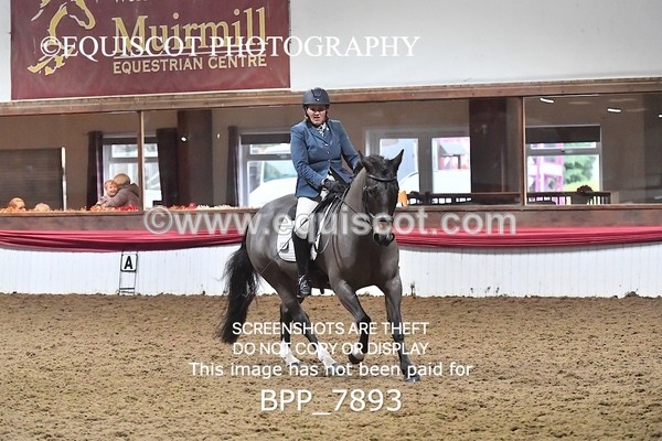 BPP_7893 - ELEM TEST 6