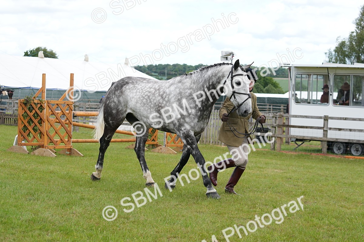 SBM_14894 - Class 100-102 - RIHS Working Hunter
