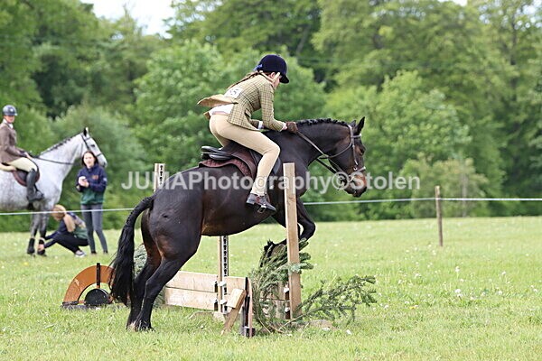 IMG_2483 - Working Hunter
