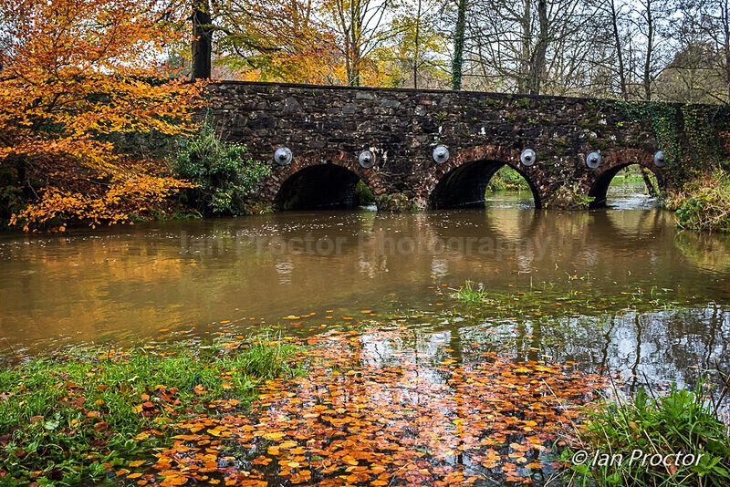 High Water at Minnowburn Stone Bridge in Autumn - Autumn