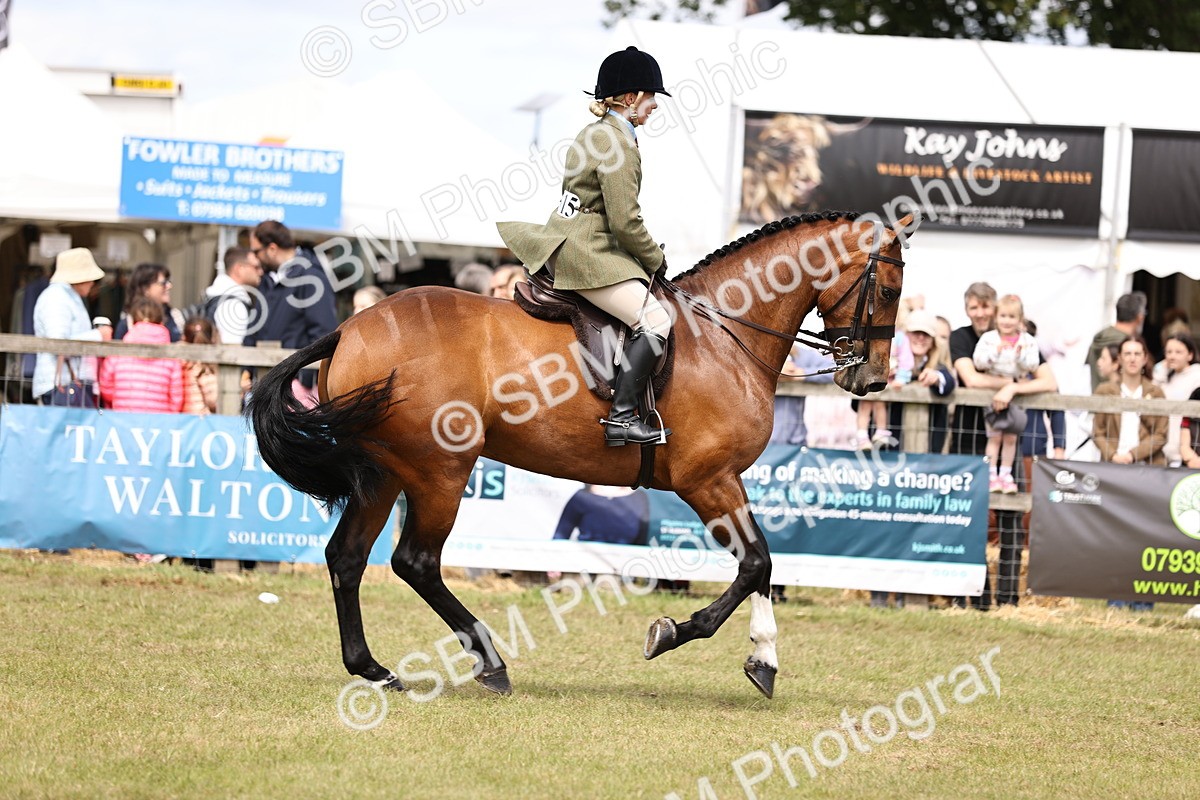 SBM_14715 - Class 88-89 - LIHS BSHA Rising Star of Ridden Hunter Type