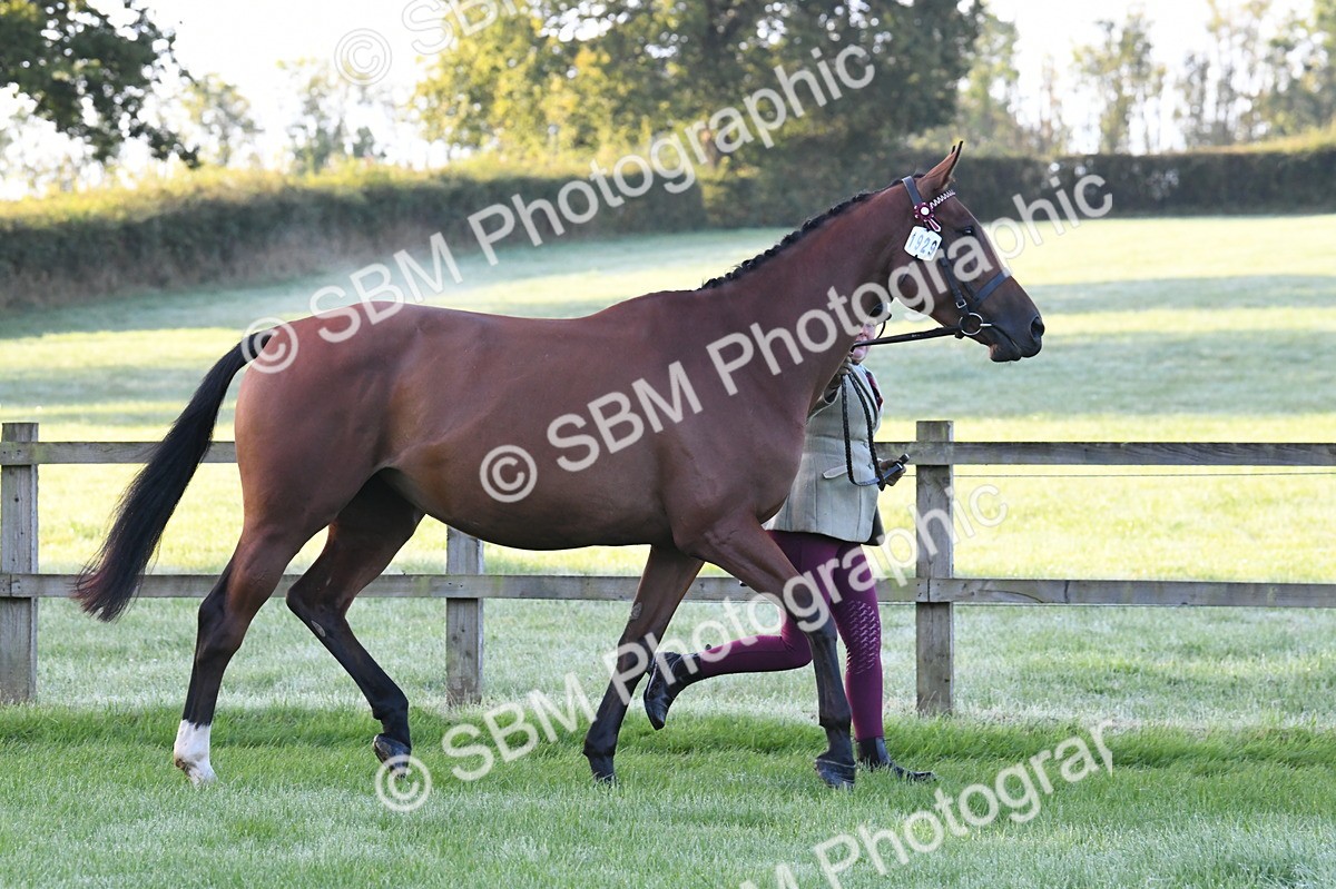SBM_32531 - S15 - Condition & Turnout In Hand
