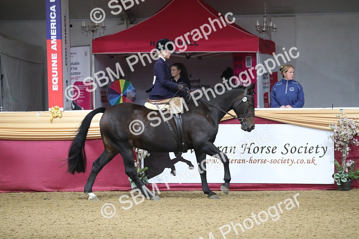 SBM_09284 - Class 101 Equitation (best rider), Junior