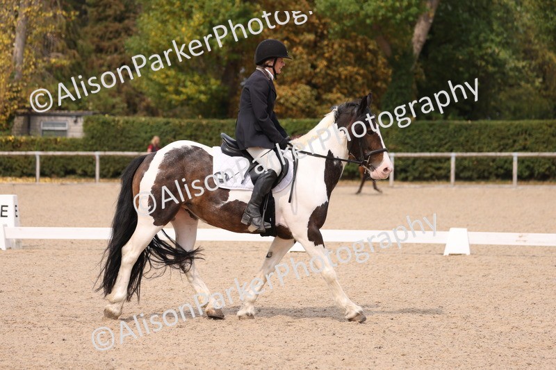 20250819-1330 - Class 4 - Novice 2