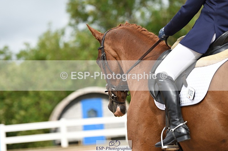 230912A-120920-00710 - Cls 8 Elementary 59