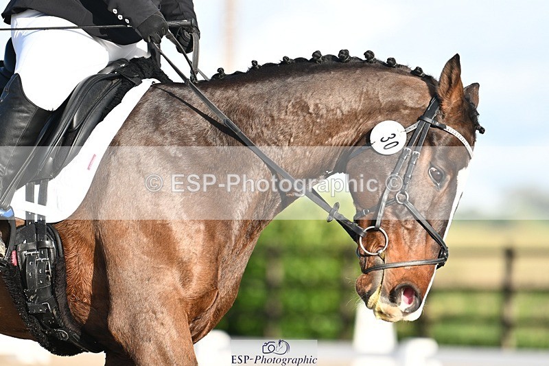 231105-143553-02430 - Cls 5 Novice 27 Start to 15.30 break