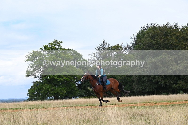 DSC_7690 - Time at Statue 13:16 to 13:52