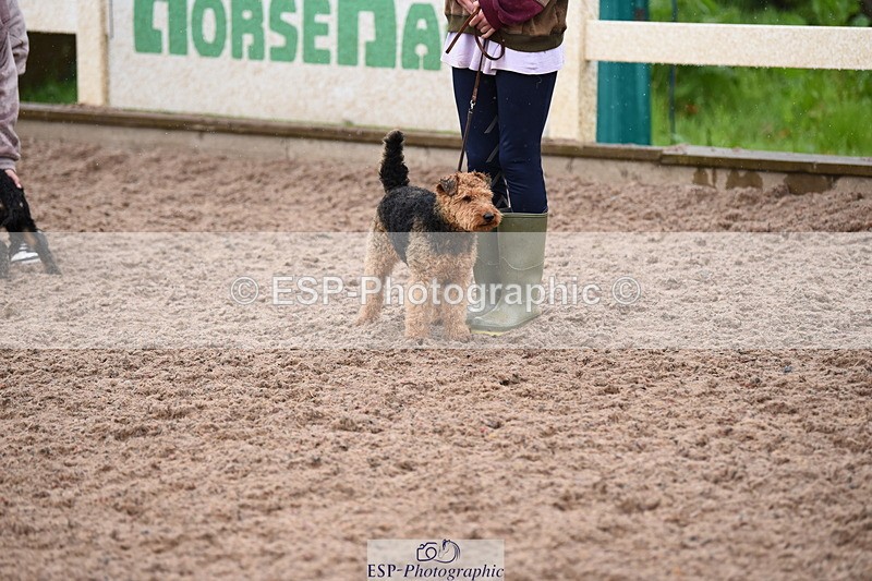 240518A-133808-01332 - Cls 9 Best in Show