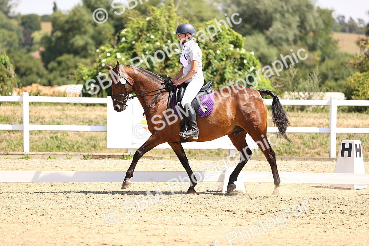 SBM_003725 - Intro 2