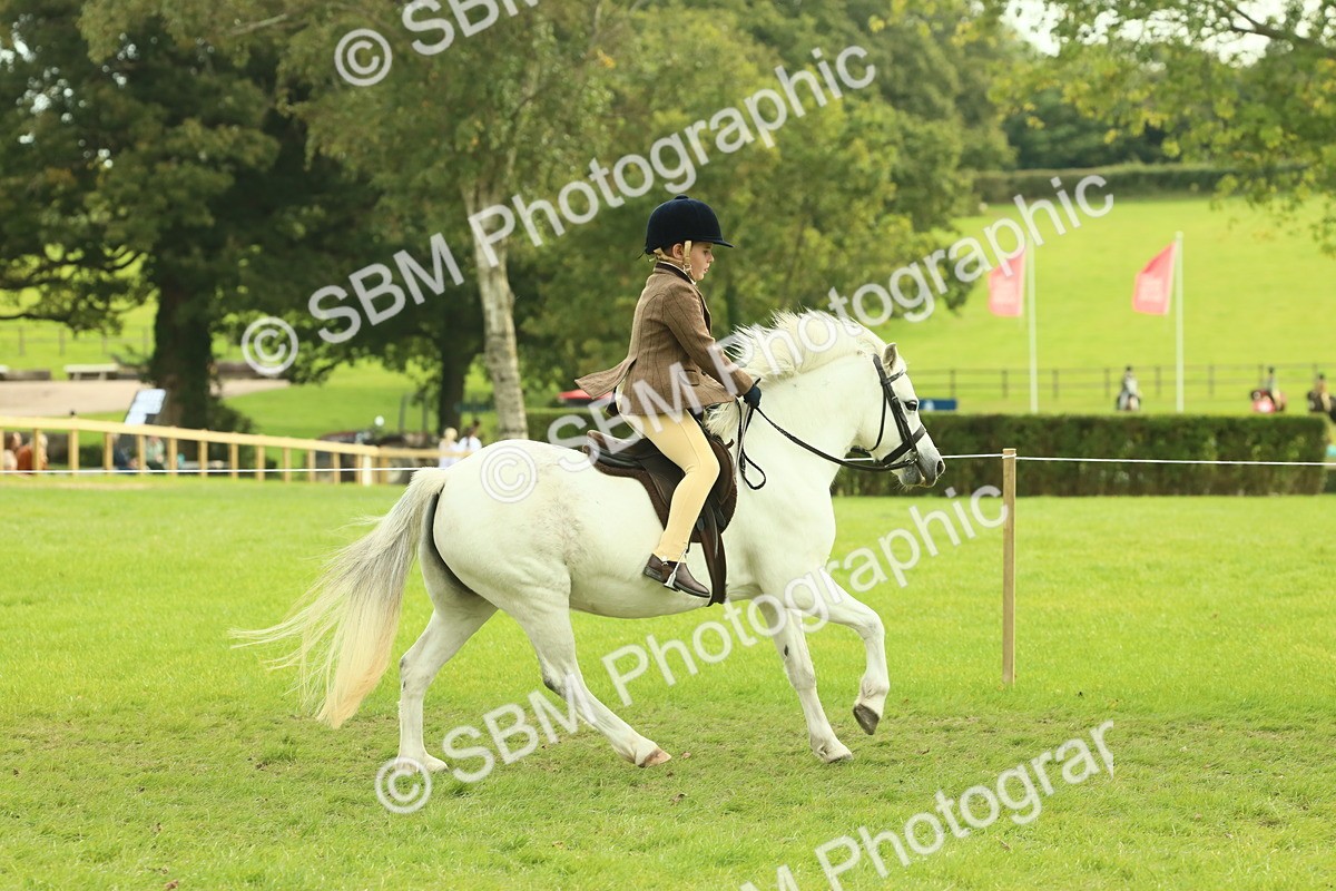 SBM_69828 - S59 - Mountain & Moorland Ridden Small Breeds