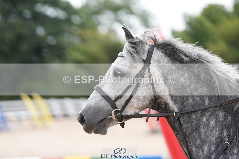 250715-171203-00309 - 80cm