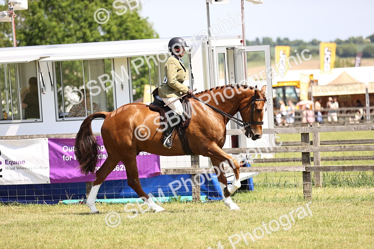 SBM_15070 - Class 79-80 - LIHS BSHA Rising Star Ridden Hunter