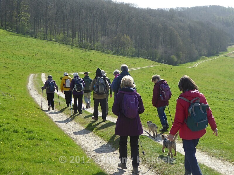 020 Descent to Huttons Bank  Wood - York Minster Walkers Collection 2025