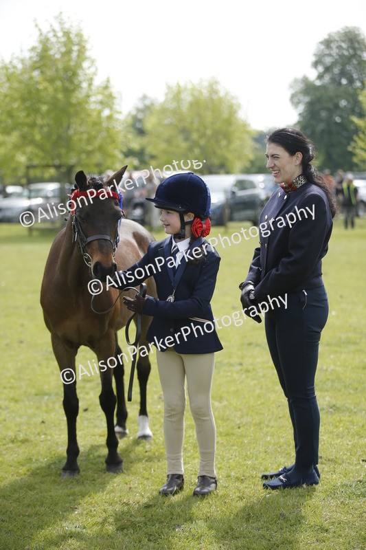 20260426-1888 - Class 7 - Pony Judge Would Most Like To Take Home