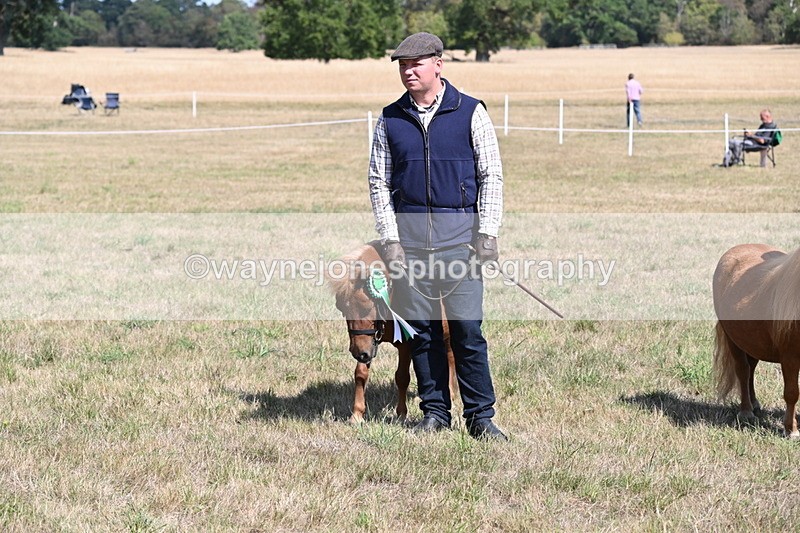 WJ6_5053 - Class 17 Mountain & Moorland