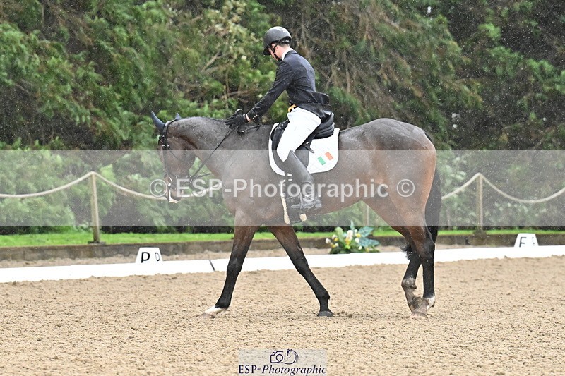 251023A-121239-01871 - C-233-Matthew.Love