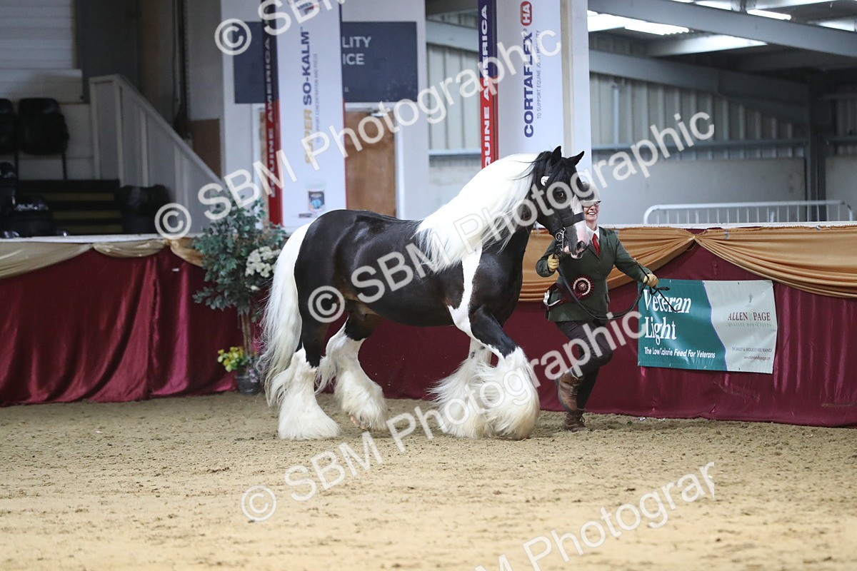 SBM_06483 - Class 9R Regional- IH Pre Vet