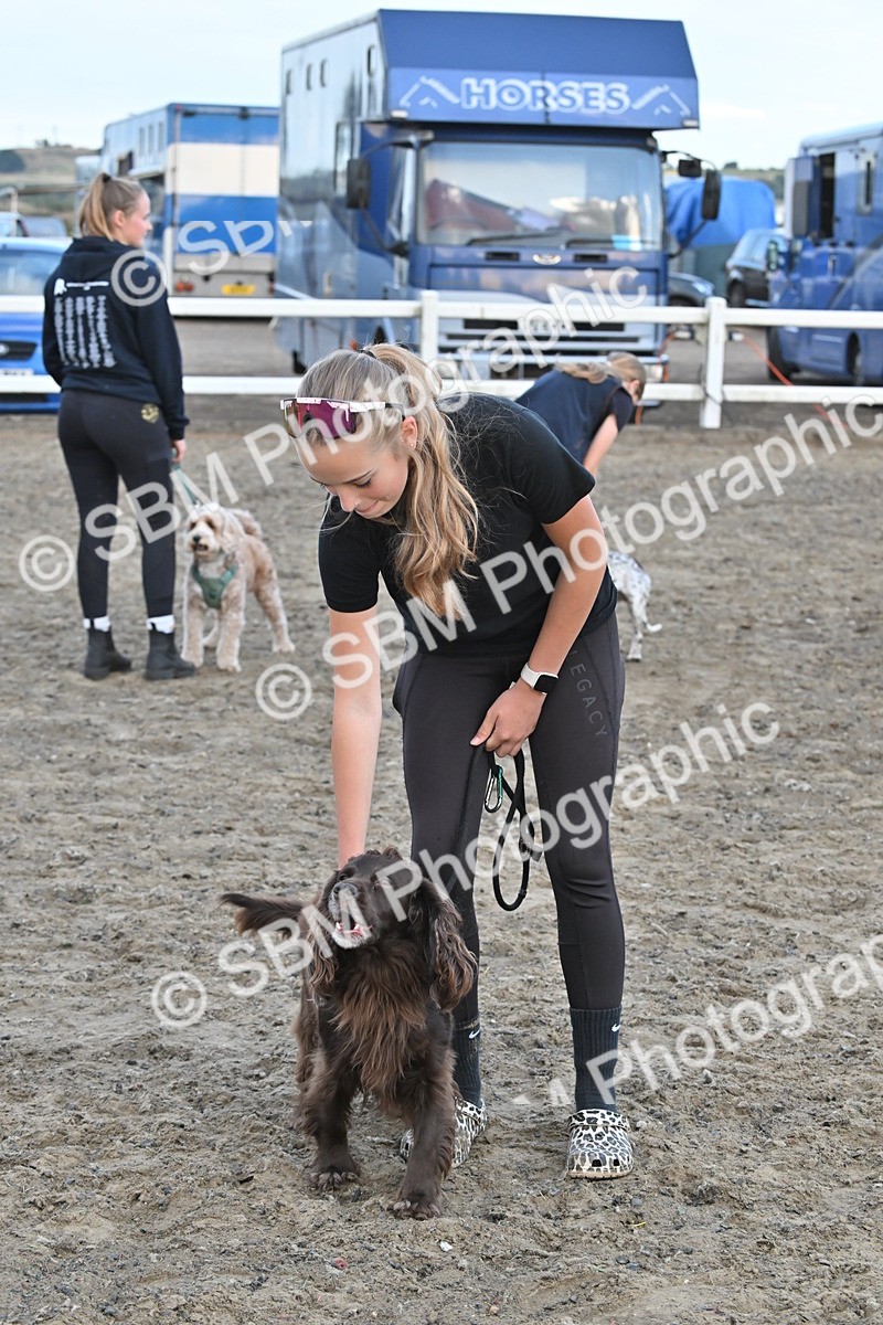 SBM_09546 - Lorry Dogs