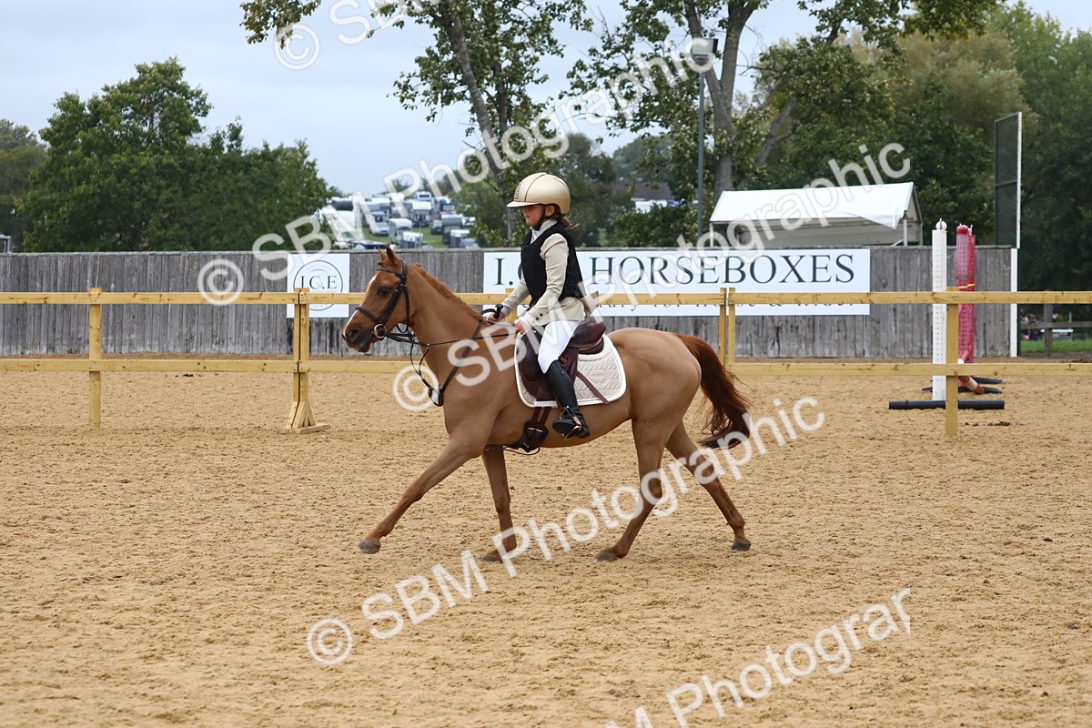SBM_72025 - J3b - Mini Tour Junior Pony 40cm Championship