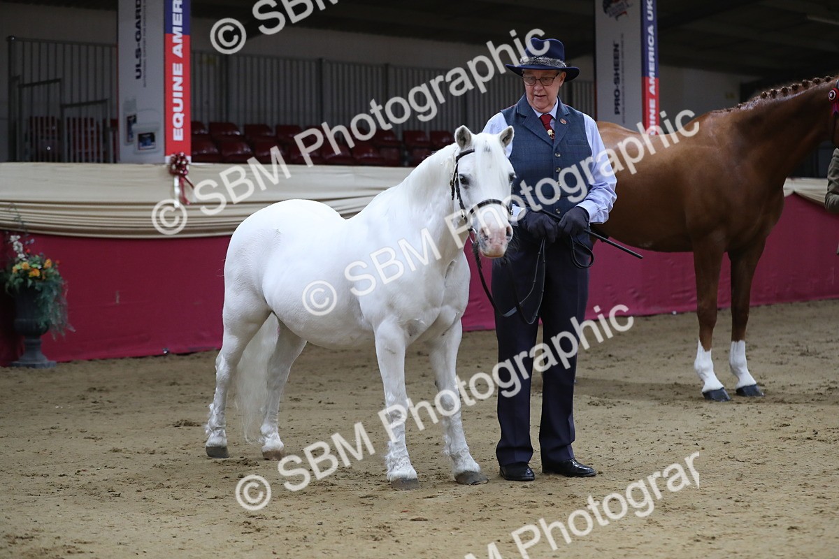 SBM_00556 - class 2a Area IH Veteran