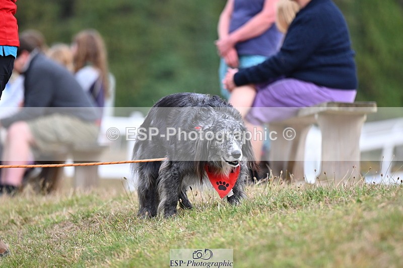 250820A-173107-11322 - 50cm, 16.45 to 18.00