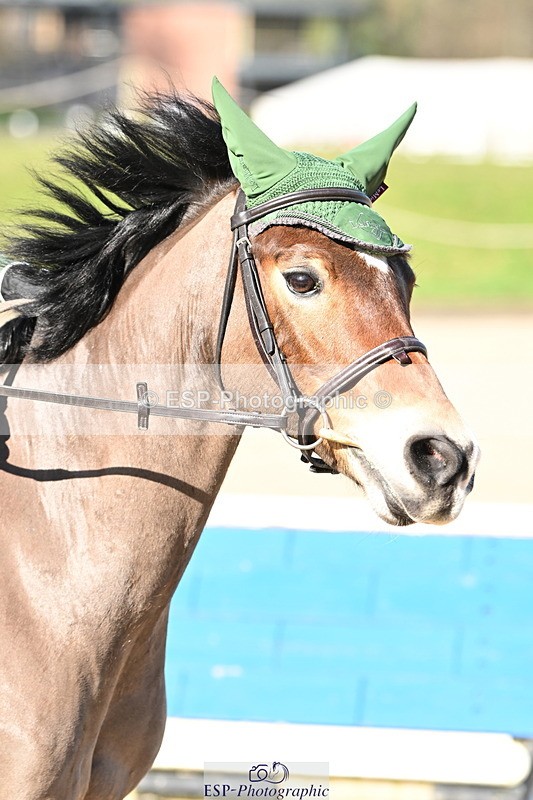 250302A-110427-01648 - Cls 01 70-75cm