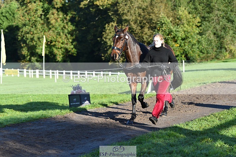 231022-092826-21813 - 685-ADRENALIN.II-Cosima.Atkinson-TrotUp+SJ