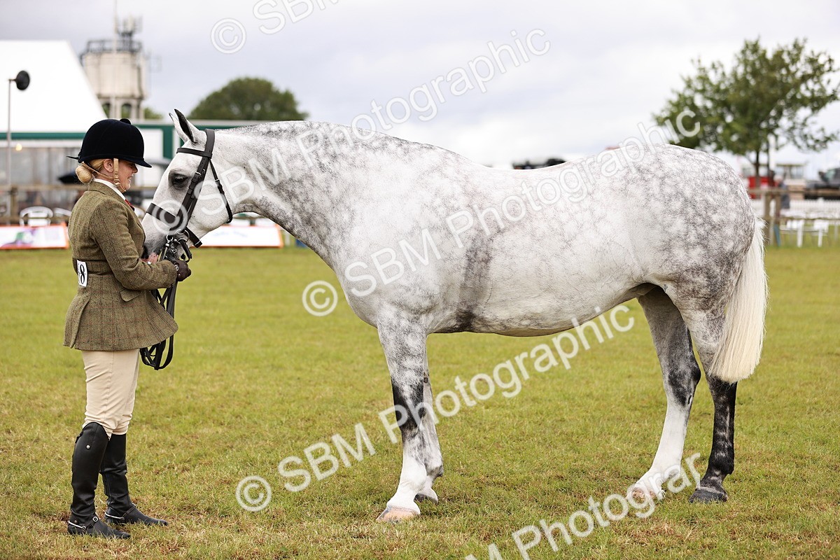SBM_13050 - Class 85-87 - RIHS Cobs