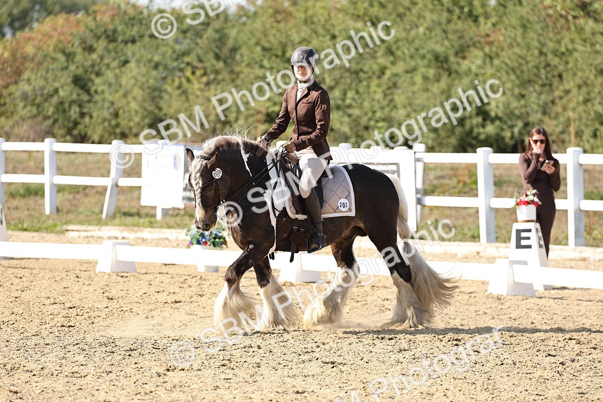 SBM_015279 - Class 9 - Advanced medium 3