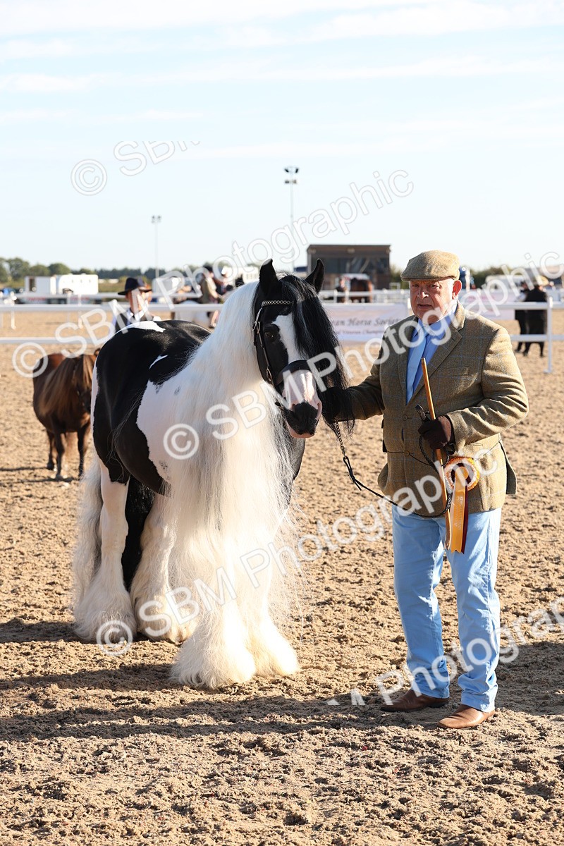 SBM_10802 - Class 201 - Best Turned Out - IH