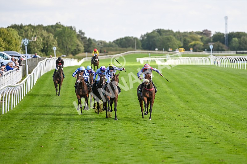 100924-Race 4-Scarboroughwarning-0310 - Race 4