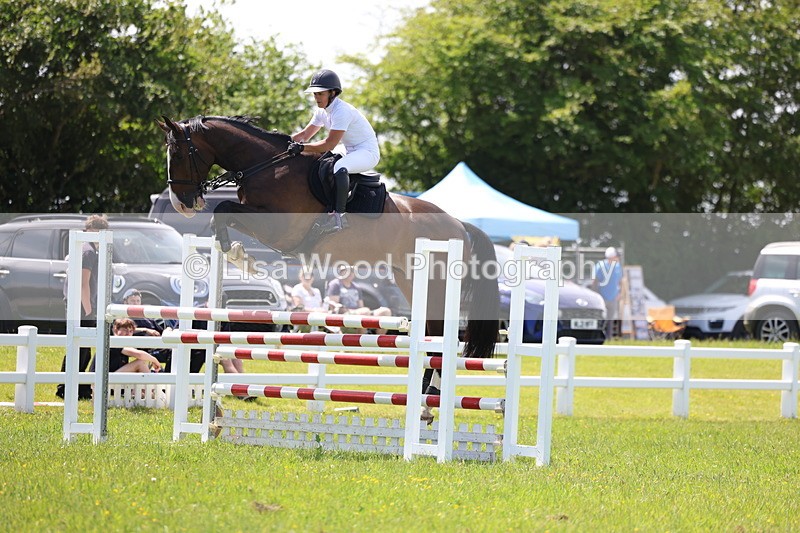 3E7A1314 - Class 12: Senior Foxhunter/1.20 open
