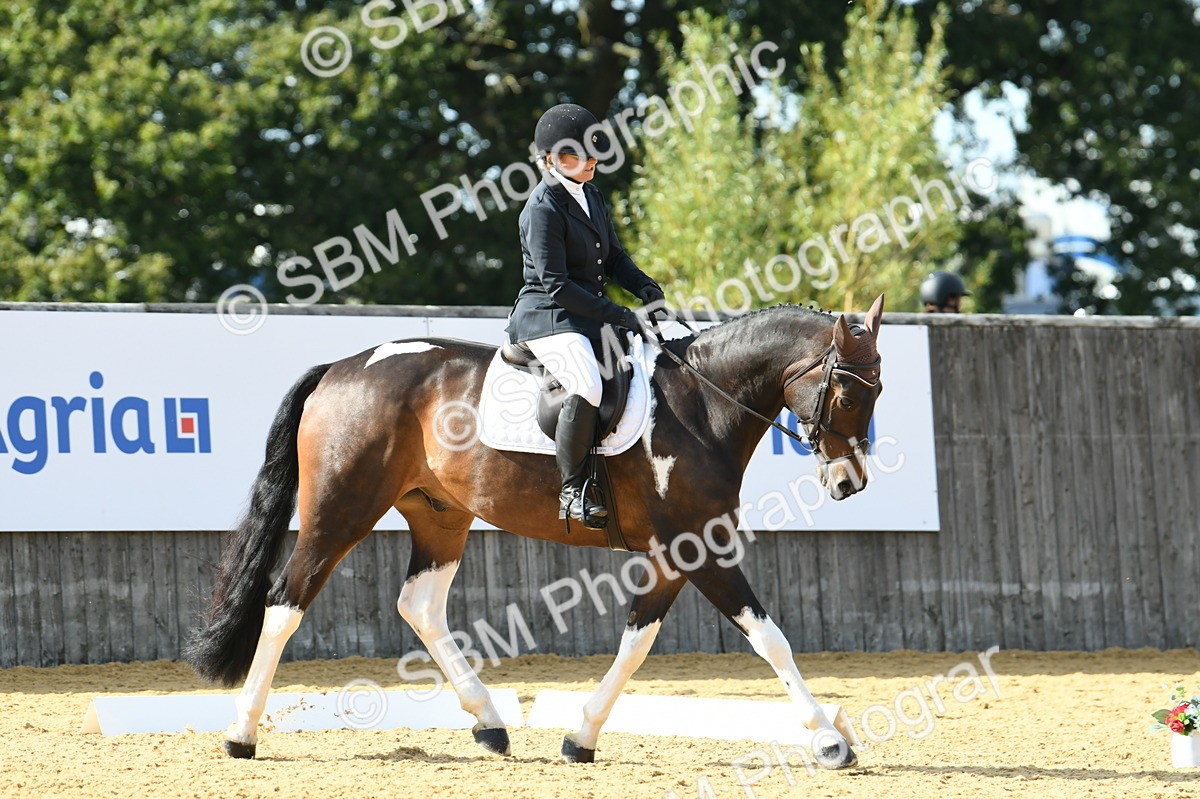 SBM_27030 - D16 - Small Tour Championship - Novice 28