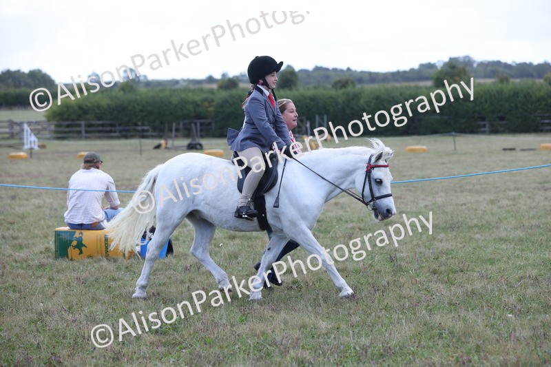 20250831-2378 - Class 16 - Family Pony