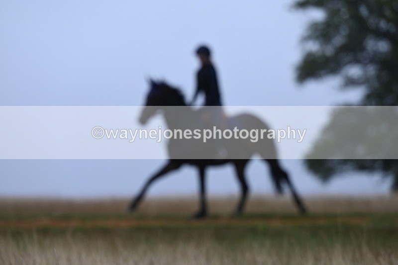 DSC_1495 - Time at Statue 11:54 to 12:12