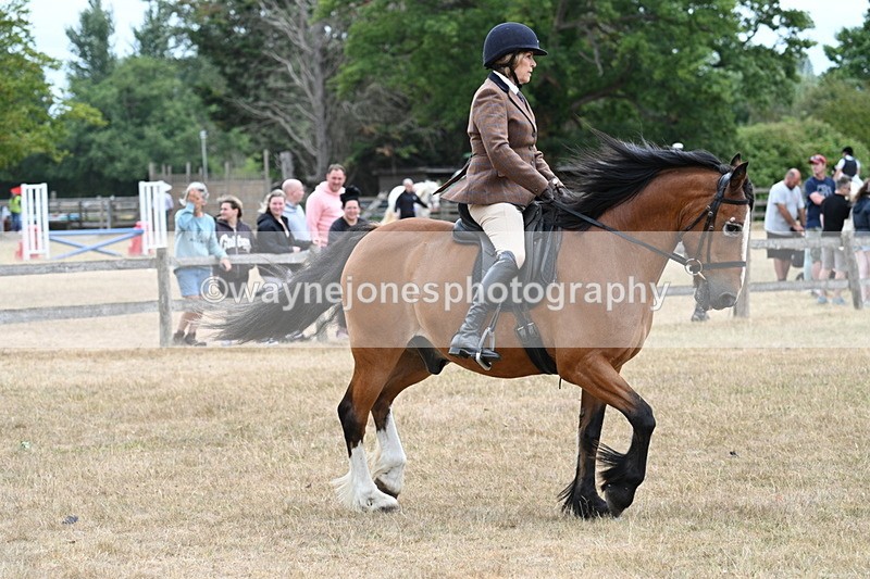 WJ7_0575 - Class 6 Ridden Mountain and Moorland