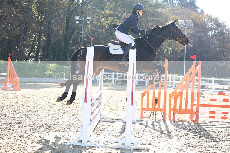 3E7A5384 - Class 4: Senior British Novice/90cm open