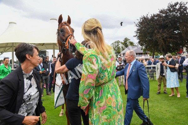 240823-Race 2-Dragon Leader-0218 - Race 2 2.25pm Goffs UK Harry Beeby Premier Yearling Stakes