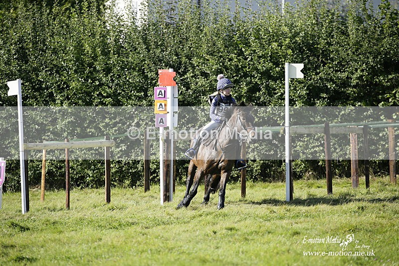  WWHT 031021 1286 - Open Novice (0.80m) 03/10/21