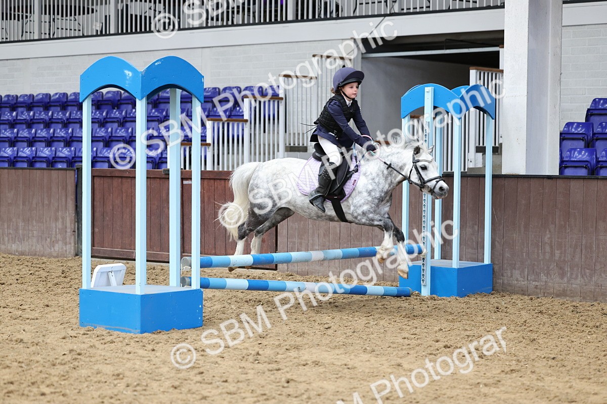SBM_007735 - Class 3 - 60cm showjumping