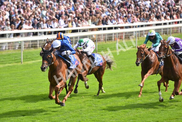 yr18082021r3-73 - Race 3 3.00pm Sky Bet Great Voltigeur Stakes